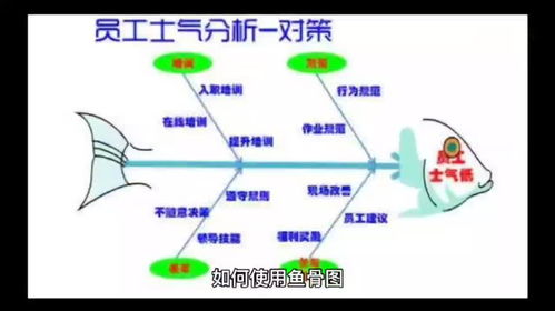 企业管理咨询公司手把手教你如何使用鱼骨图